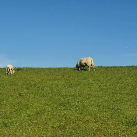 Lieblingsplatz Whg3 * 비트문드