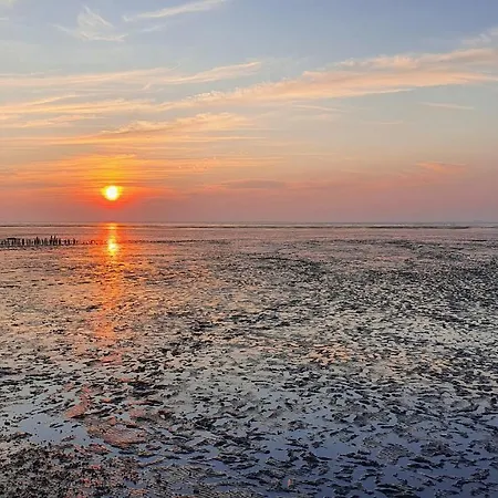 Lieblingsplatz Whg3 * 비트문드