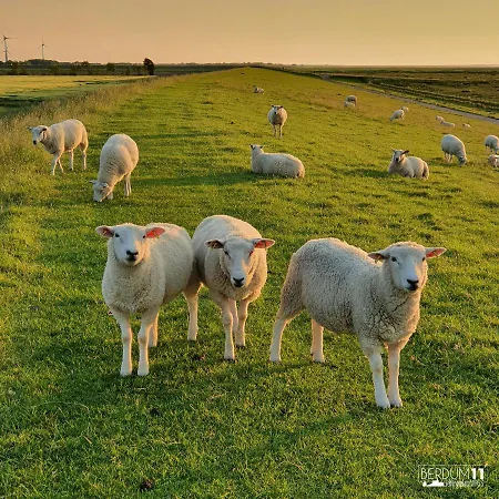 Lieblingsplatz Whg3 *